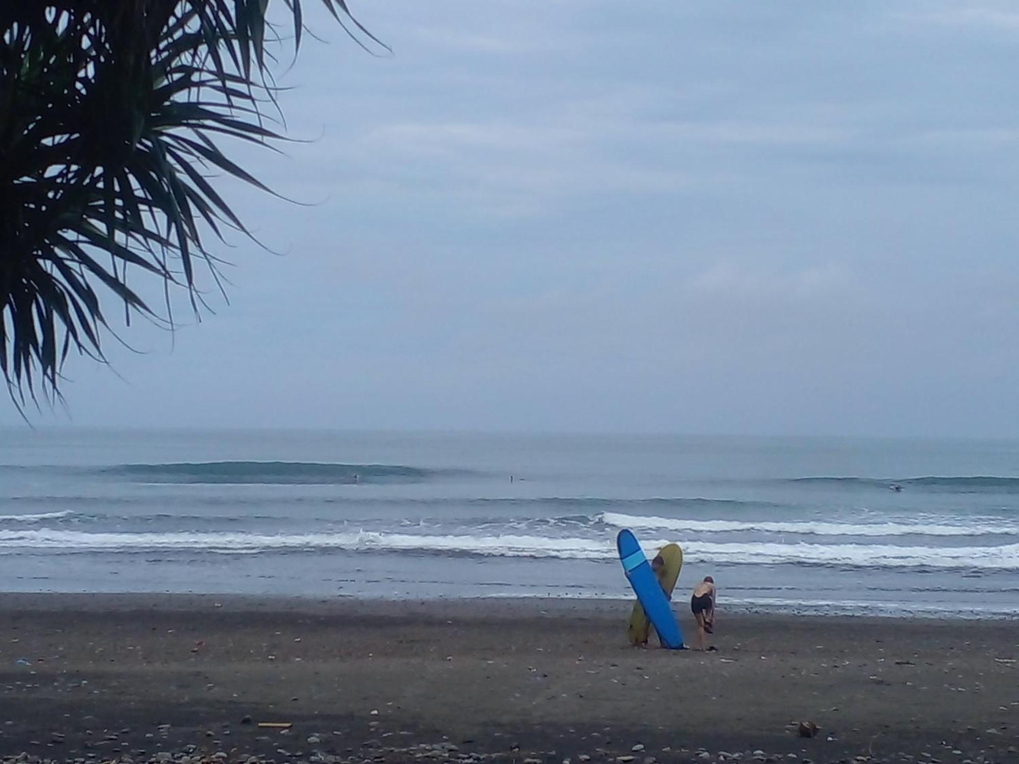 Medewi Good Vibes Stay&Surf Jembrana Εξωτερικό φωτογραφία