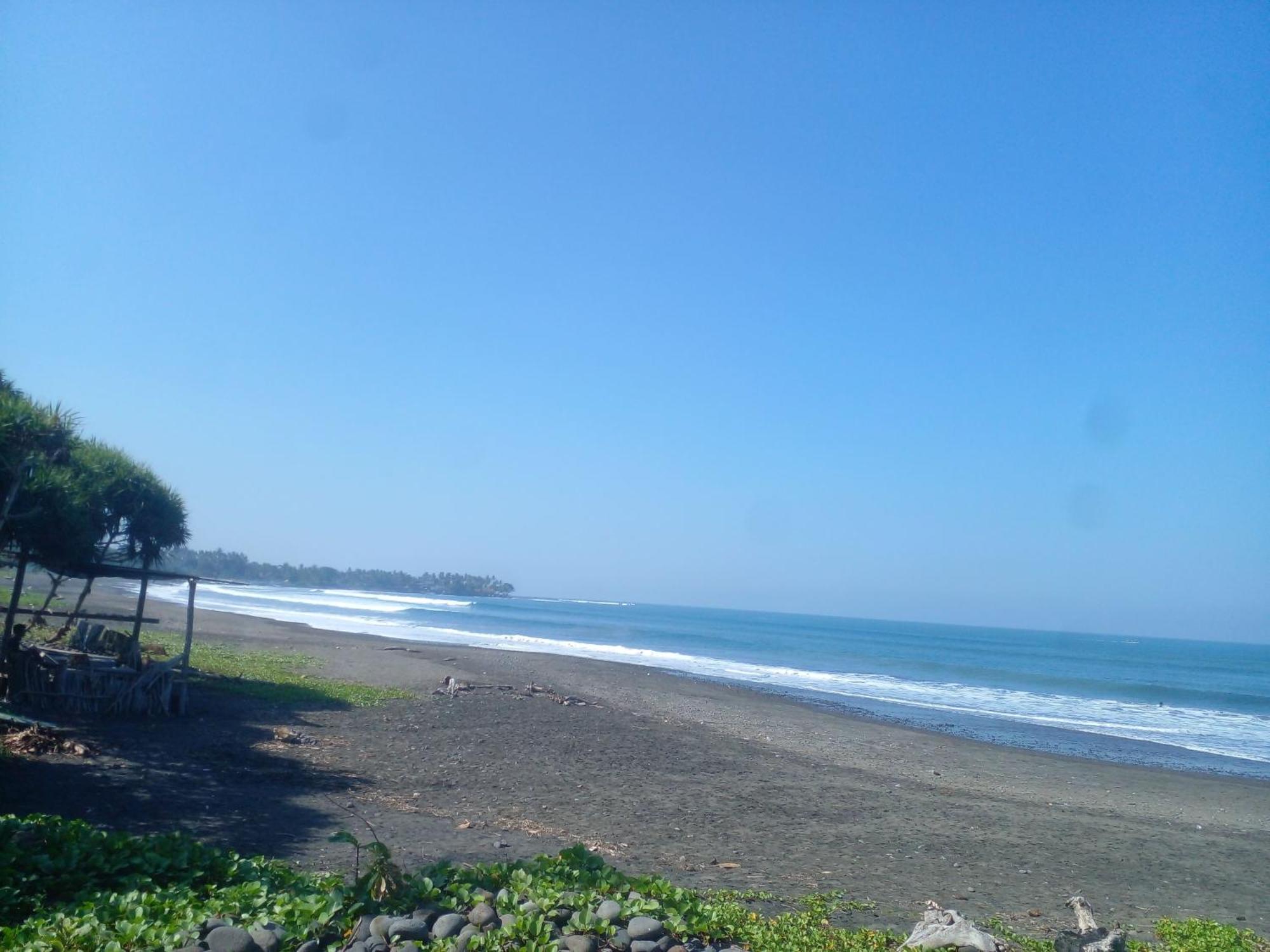 Medewi Good Vibes Stay&Surf Jembrana Εξωτερικό φωτογραφία